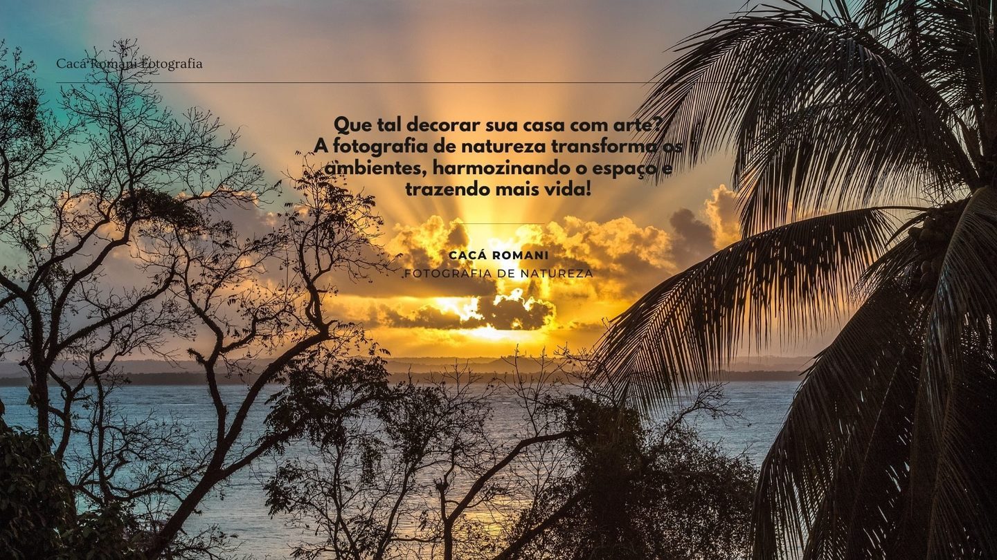Como adquirir um quadro? Como adquirir um quadro?